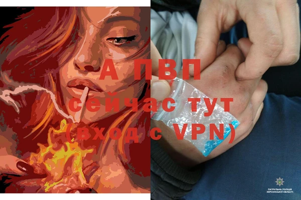 марихуана Баксан