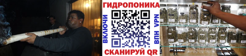 Каннабис AK-47  где можно купить   Салаир 